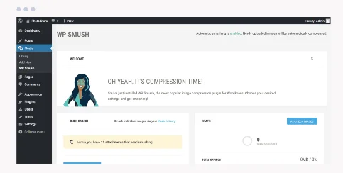 Smush_pro-_dashboard
